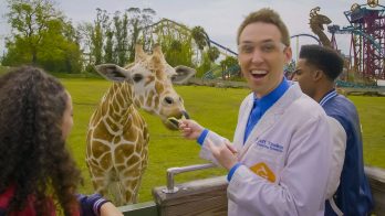 scientist shows that the tongue of a giraffe is an adaptation