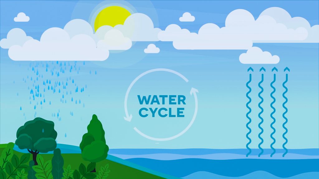 Ciclo del agua | Material de lectura | 3° a 5° grado