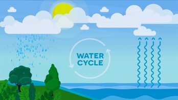 water cycle diagram for kids