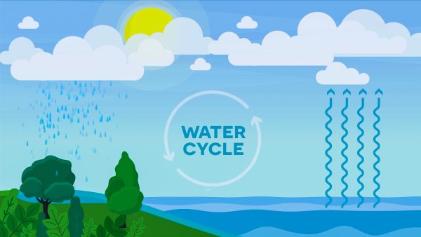 Water Cycle (3-5 Version)