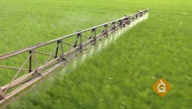 spraying too much fertilizer can damage an ecosystem