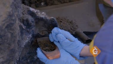 Paleontologist cleans a fossil
