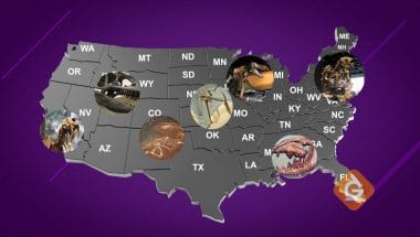 map of the US showing where different kinds of fossils are found.