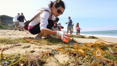 water clean up efforts on the beach