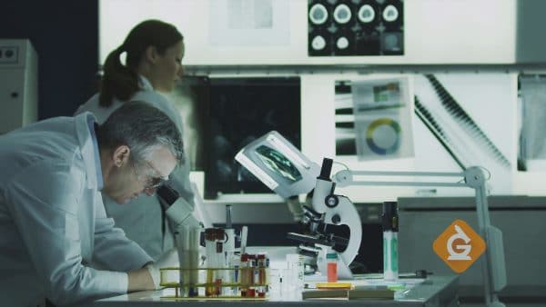 scientists in a lab look through microscopes