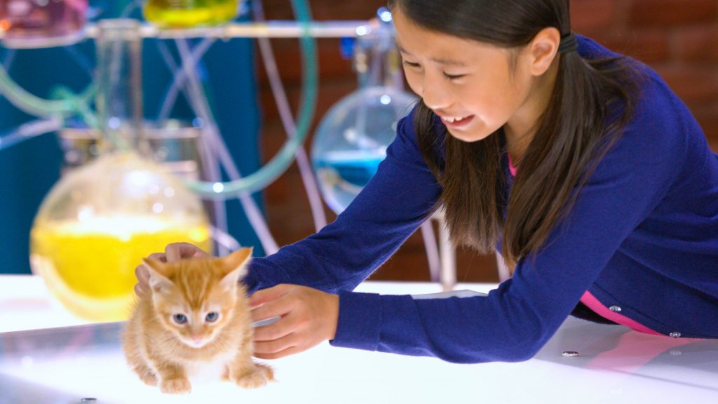 child pets a cat in a lab