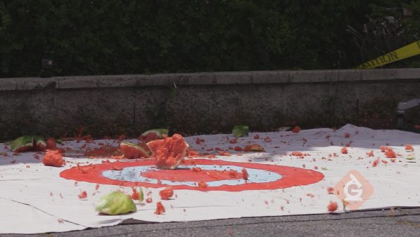 watermelon smashed by falling off building