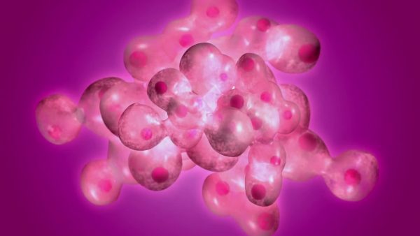 Plant & Animal Cell Video For Kids | 6th, 7th & 8th Grade Science Plant & Animal Cell Video For Kids | 6th, 7th & 8th Grade Science