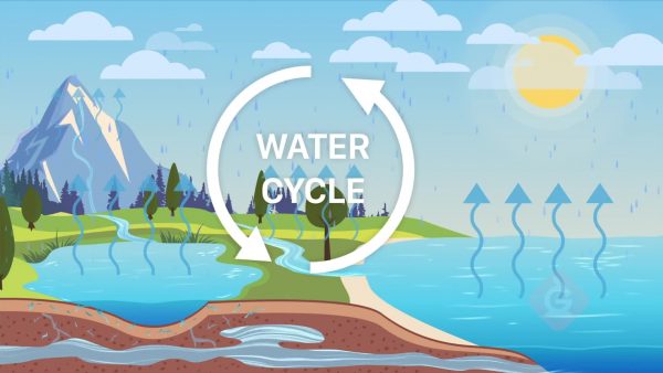 El ciclo del agua