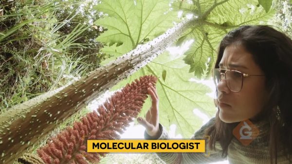 Careers in Science: Molecular Biologist