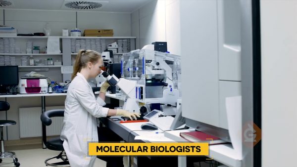Carreras científicas: Biólogo Molecular