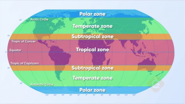 Polar Zone