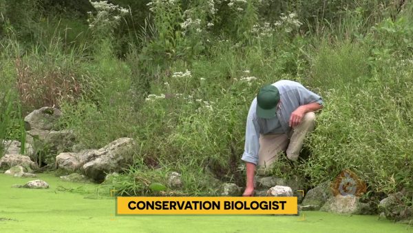 Carreras científicas: Biólogo de la conservación
