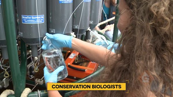 Careers in Science: Conservation biologist