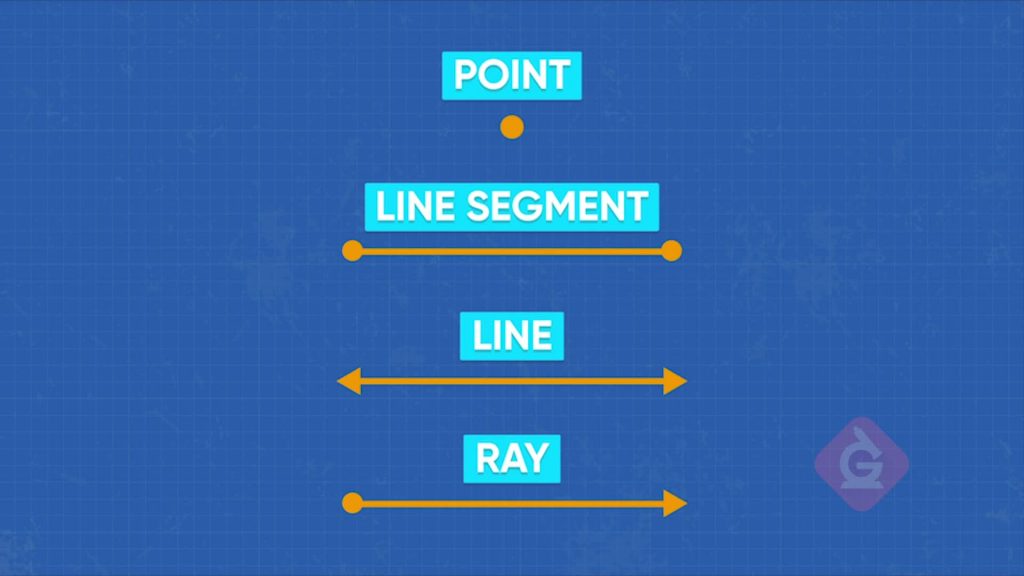 Lines, Line Segments, & Rays