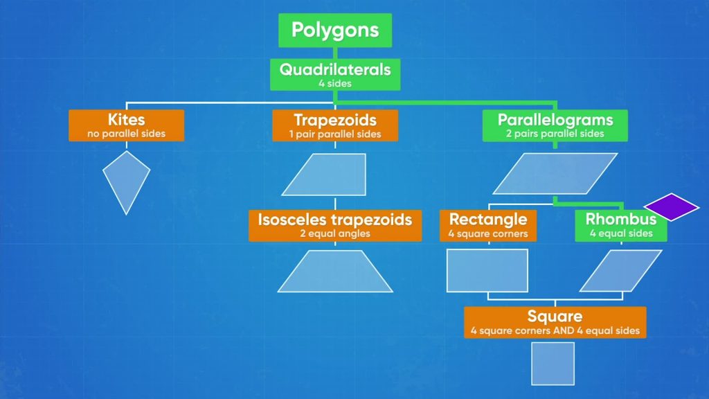 Classify Shapes in a Hierarchy (Quadrilaterals & Triangles)