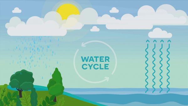 ¡El ciclo del agua está sucediendo constantemente todos los días durante millones de años!