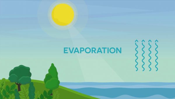 Paso 1 del ciclo del agua: el agua se evapora de la superficie de la Tierra.