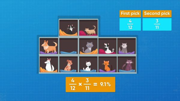 Calculate the probability of picking two dogs from a pet store.