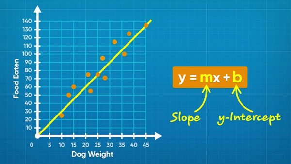 Find the relationship between dog weights and food.