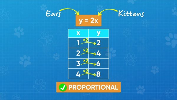 You can describe proportional relationships using equations.