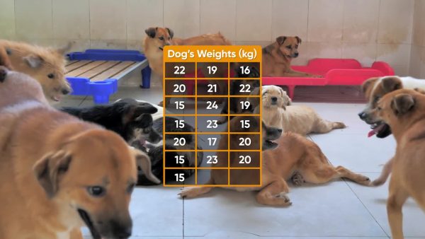 Find the mean of a set of dog weights.
