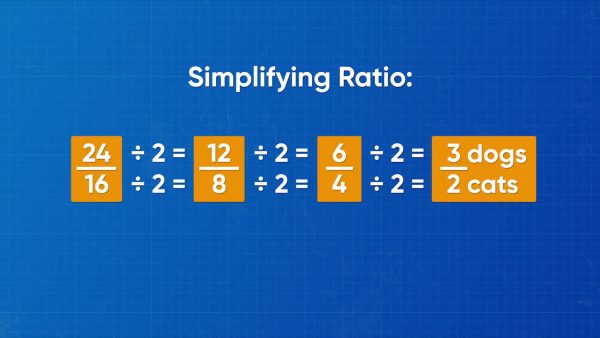 You can simplify ratios by scaling them down.