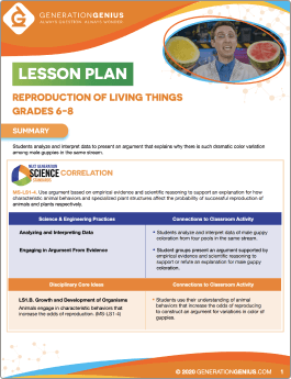 Reproduction of Living Things Lesson Plan