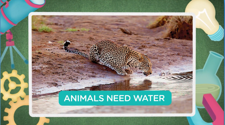 Check out the Animal Science DIY Activities and Science Lessons you can use for Love your Pet Day in K-5. 