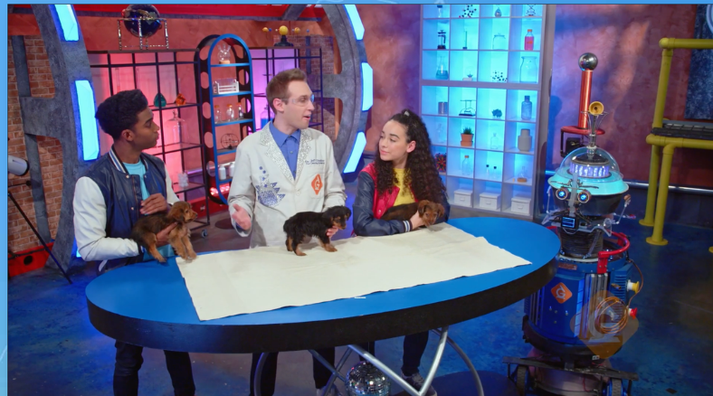 Check out these Love Your Pet Day Science Lessons and DIY Activities great for K-5 on animal science. 