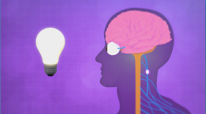 Check out these random acts of kindness inspired science lessons on the brain and DIY activities for grades 3-8