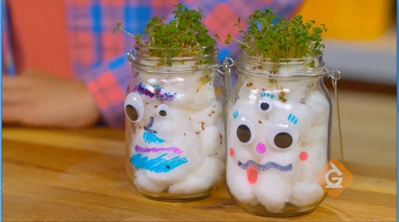 Check out these St. Patrick's Day Science Lessons, Resources, and DIY activities for Grades K-5