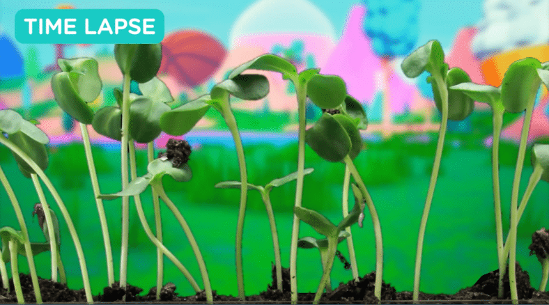 Check out these Arbor Day Science Lessons & DIY Activities for Grades K-5. 