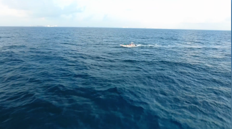 Discover earth day DIY activities like Oil Spill Clean-up and other conservation science lessons for grades K-5. 