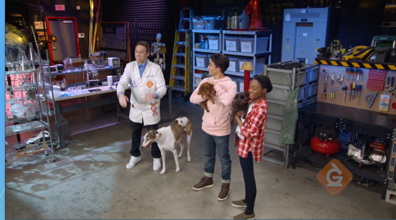 Check out these Spring Science Lessons & Life cycle DIY activities for grades K-8.