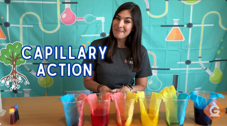 Capillary action is one of the concepts that kids learn about in the Rainbow Walking Water DIY Activity.