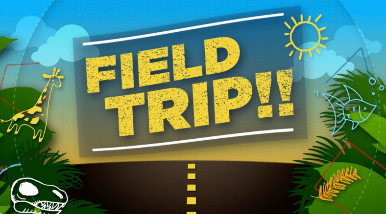 Get outside with these summer camp science activities and lessons, perfect for K-2 learners, whether you're teaching summer camp, homeschool, or summer school.