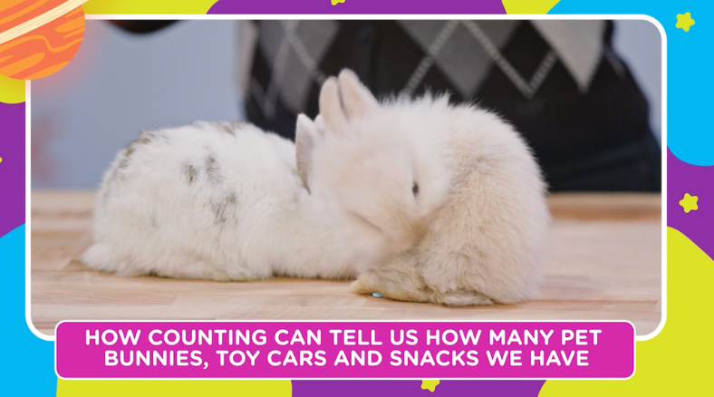 Counting can connect to many real-world experiences! For more math support for your young learners, check out this K-2 Counting Math Lessons & Activities blog.