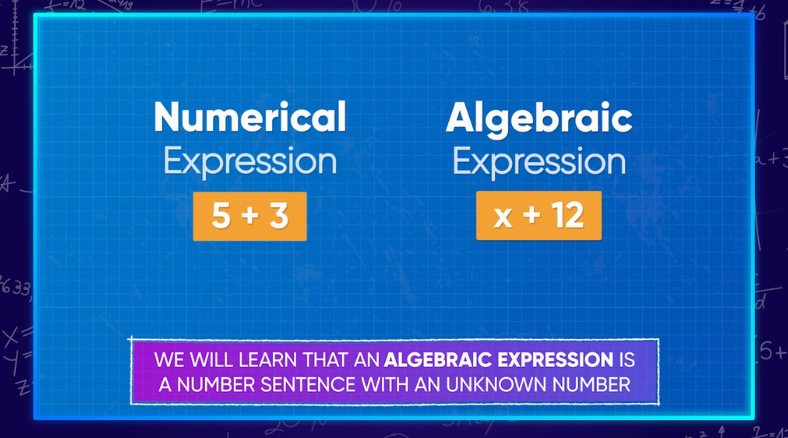 students learn the difference between a numerical expression and an algebraic expression in algebra math lessons & activities (6-8)