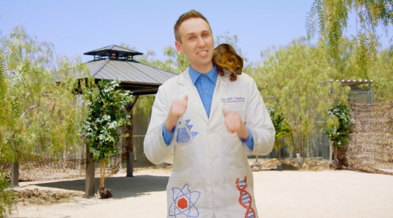 World Animal Day science lessons & activities for grades K-8